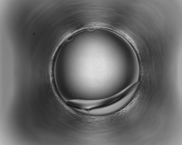 X0000093400997200710190920