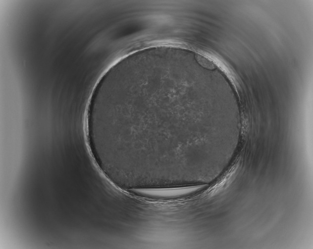 X0000093400999200710190920