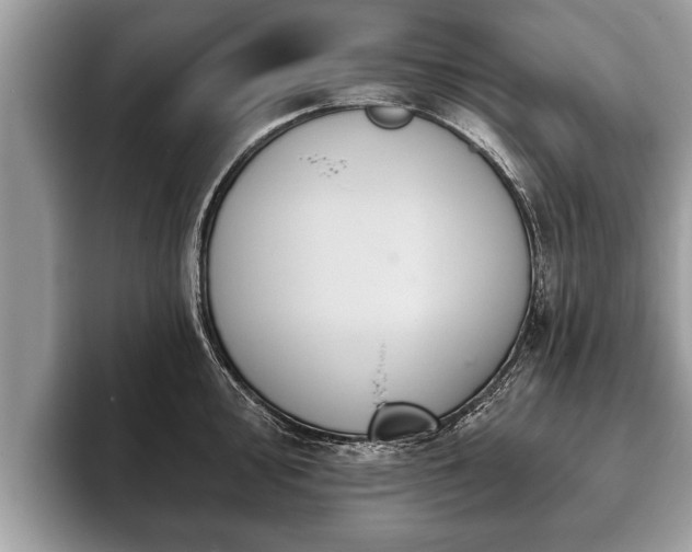 X0000093401000200710190920