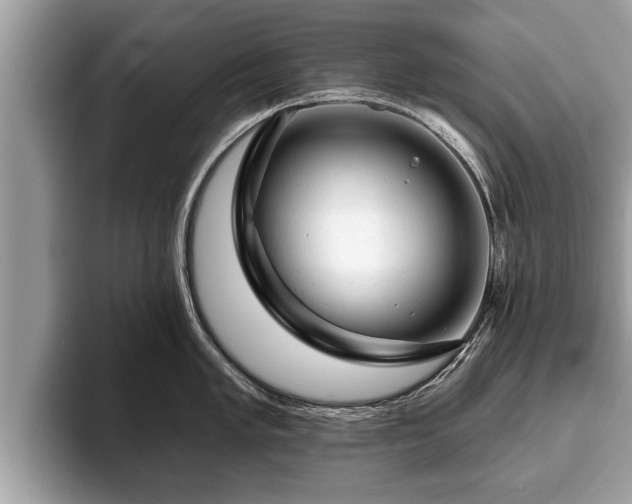 X0000093401005200710190920