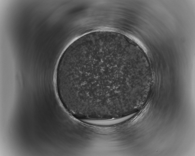 X0000093401007200710190920
