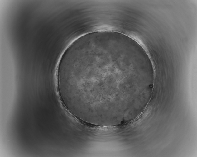 X0000093401008200710190920