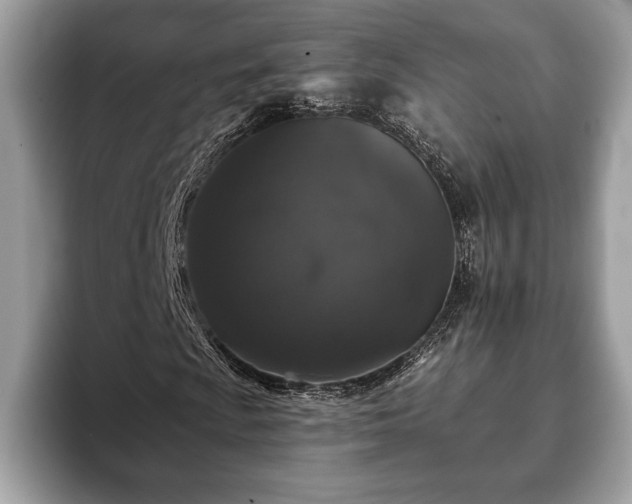 X0000093401009200710190919
