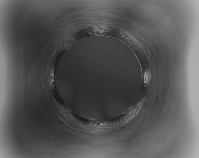 X0000093401011200710190919