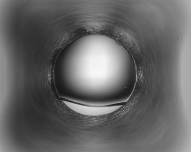 X0000093401012200710190920