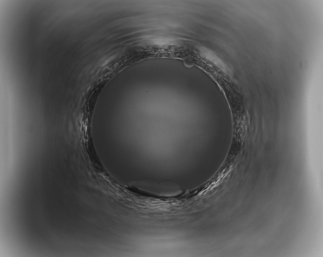 X0000093401013200710190920