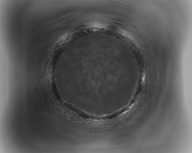 X0000093401014200710190920