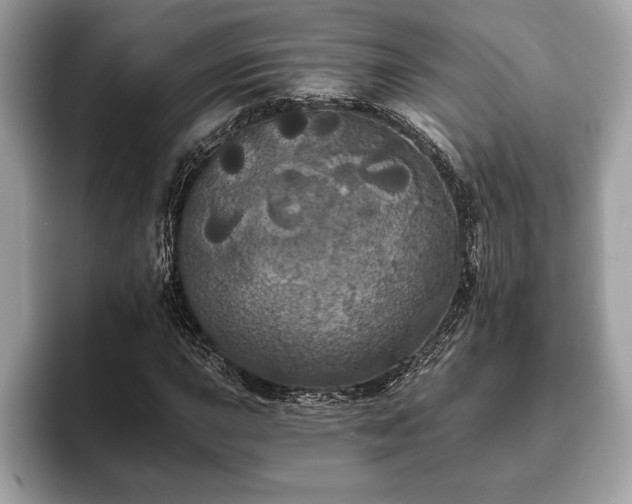 X0000093401015200710190920