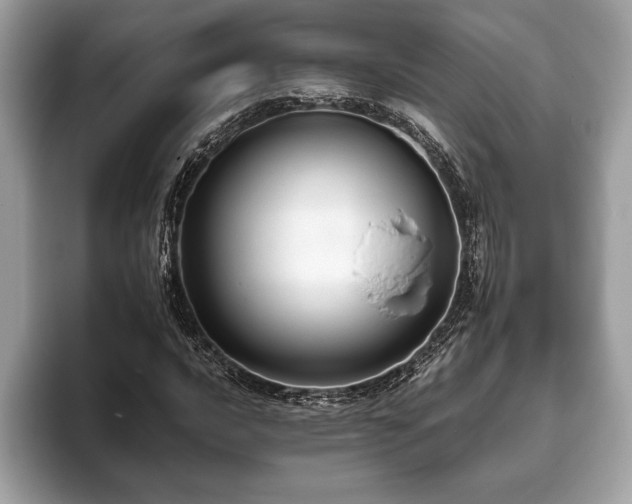 X0000093401016200710190920
