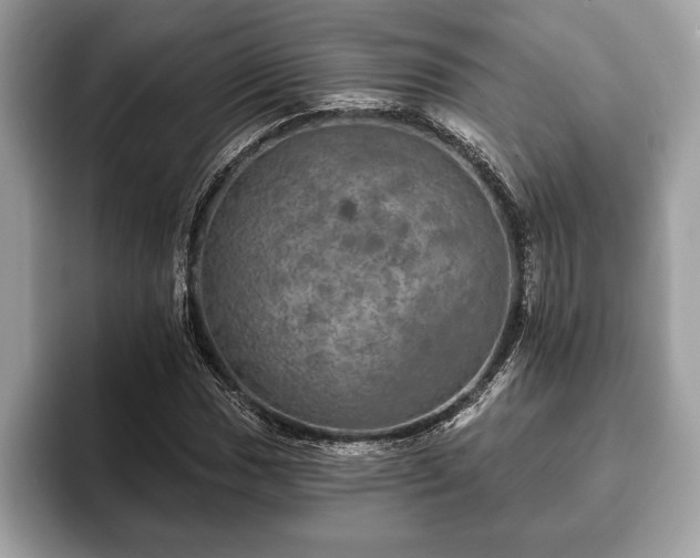 X0000093401017200710190920