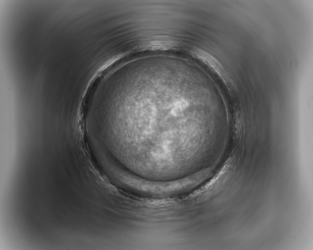 X0000093401018200710190920