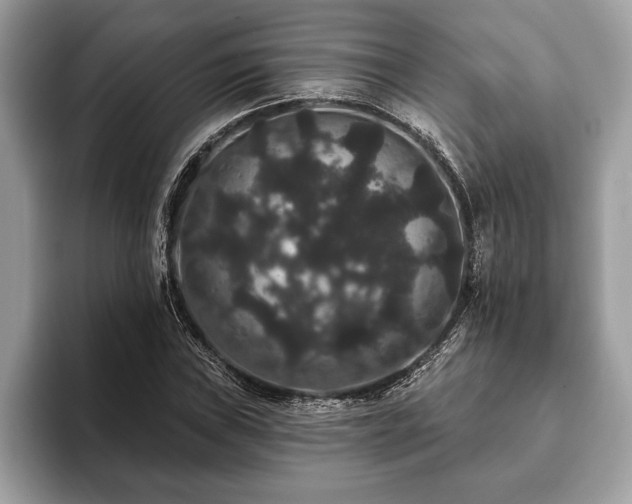 X0000093401019200710190920