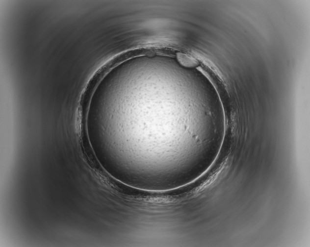 X0000093401021200710190920