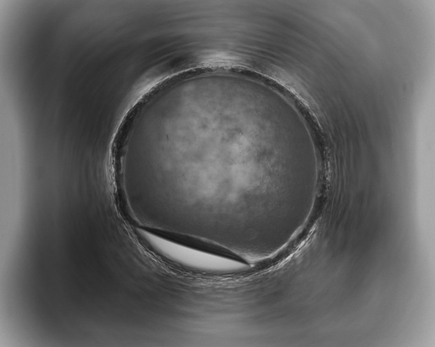 X0000093401022200710190920