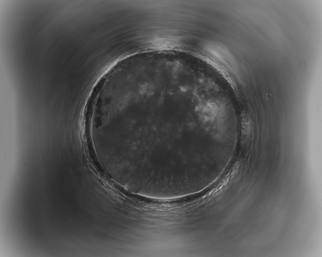 X0000093401023200710190920
