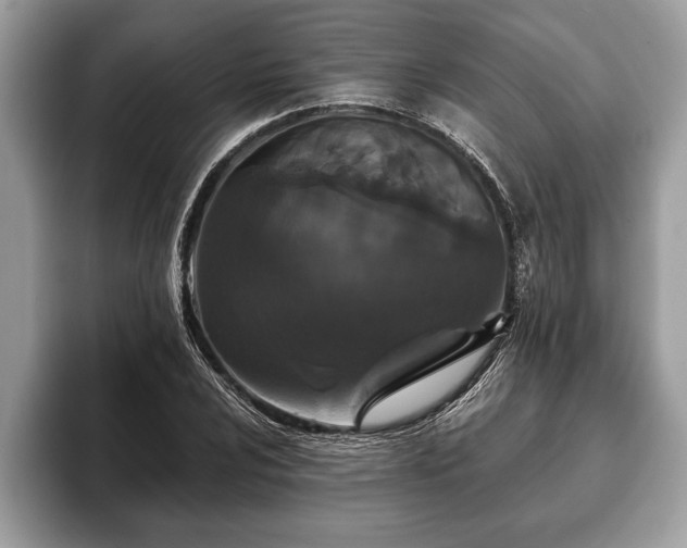 X0000093401024200710190920