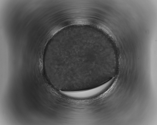 X0000093401025200710190920