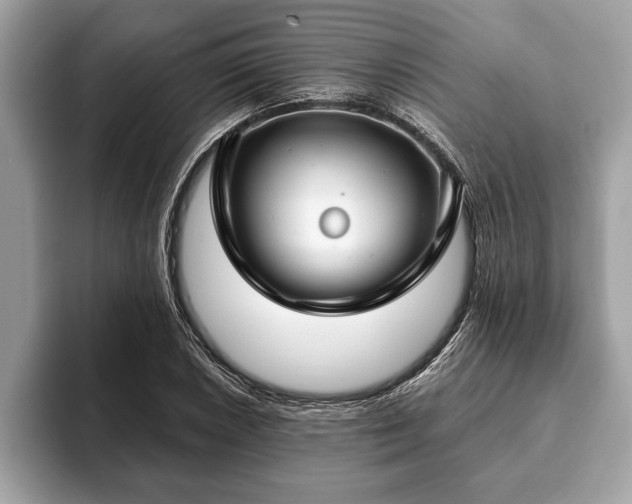 X0000093401026200710190920