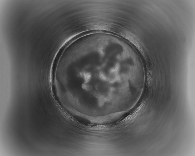 X0000093401028200710190920