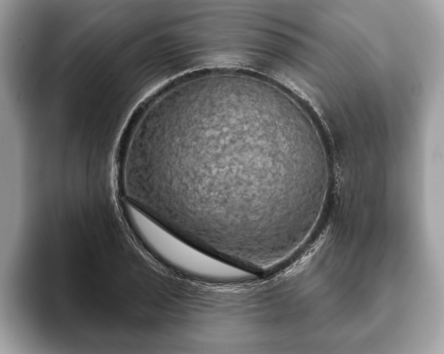 X0000093401029200710190920
