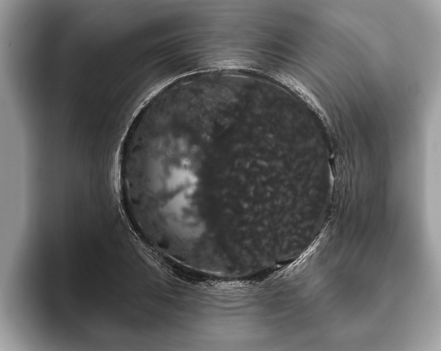 X0000093401031200710190920