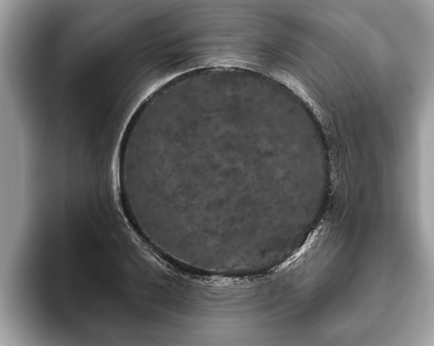 X0000093401032200710190920