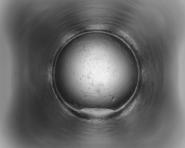 X0000093401033200710190920