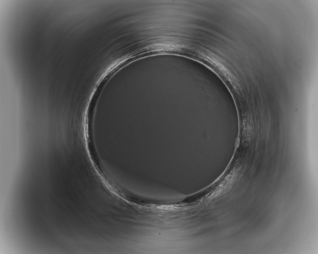 X0000093401034200710190920