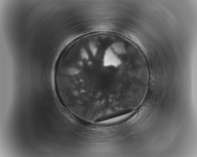 X0000093401035200710190920