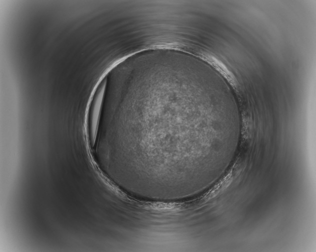 X0000093401036200710190920