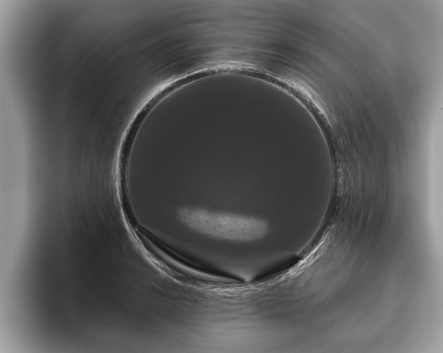 X0000093401038200710190920