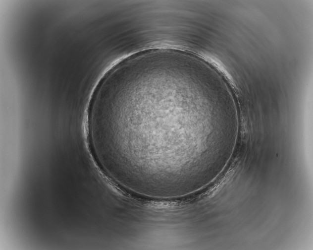 X0000093401040200710190920