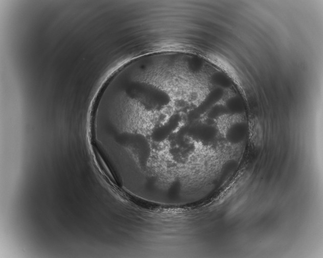 X0000093401043200710190920