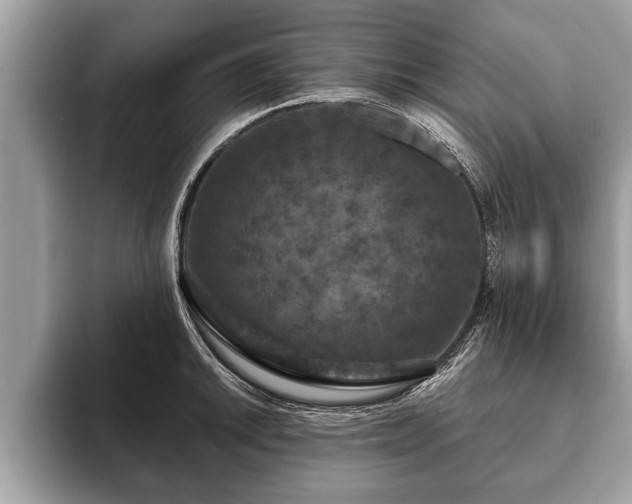 X0000093401046200710190920