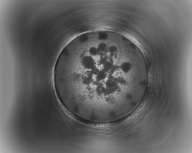 X0000093401047200710190920