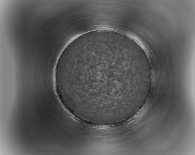 X0000093401048200710190920