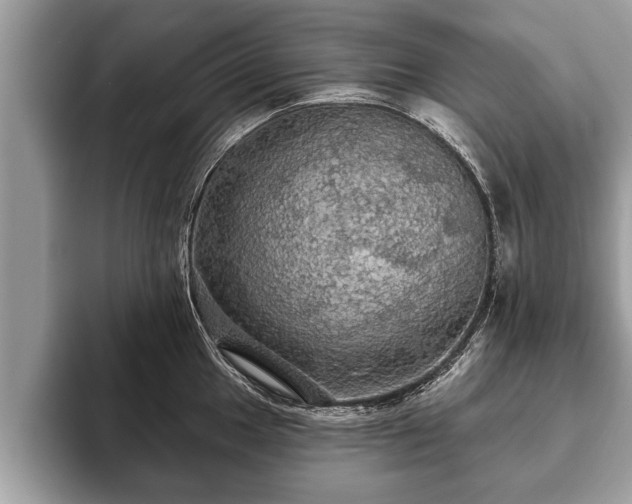 X0000093401049200710190920