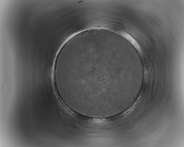 X0000093401052200710190920