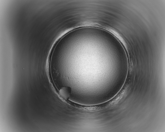 X0000093401053200710190920