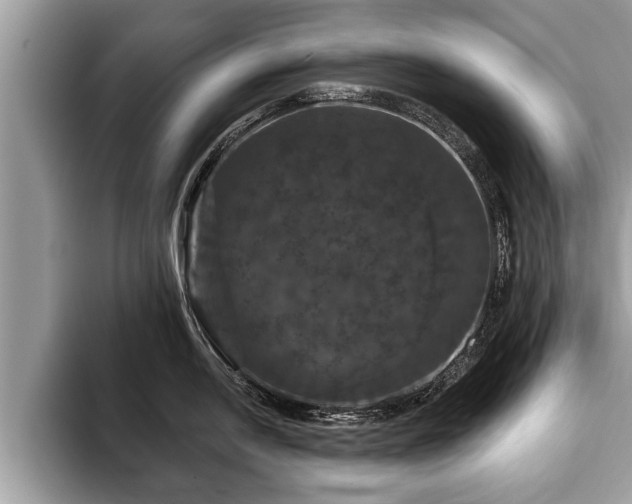 X0000093401054200710190920