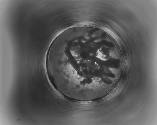 X0000093401055200710190920