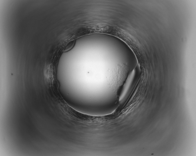 X0000093401058200710190919