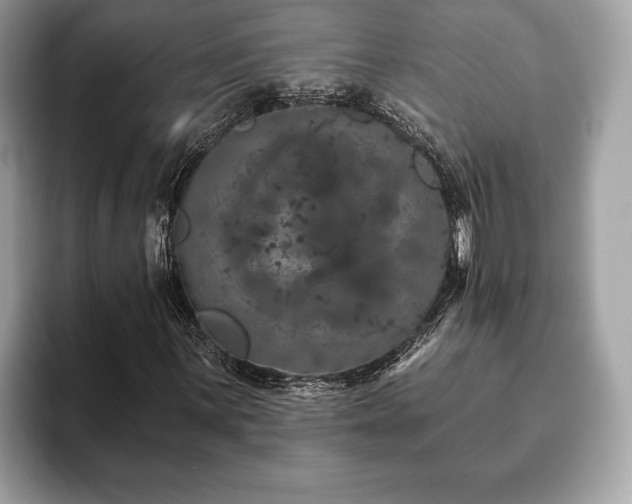 X0000093401059200710190919