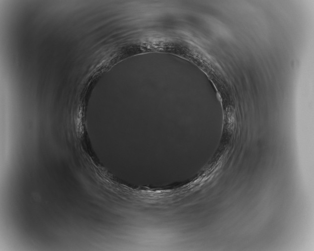 X0000093401060200710190919