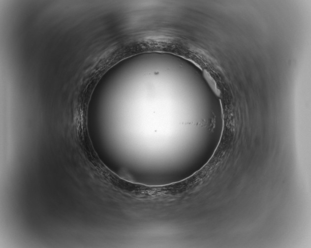 X0000093401061200710190919
