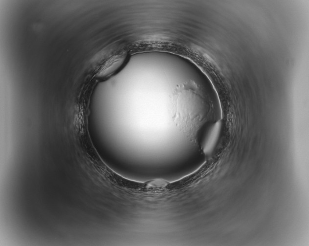 X0000093401062200710190919