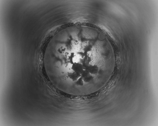 X0000093401063200710190919