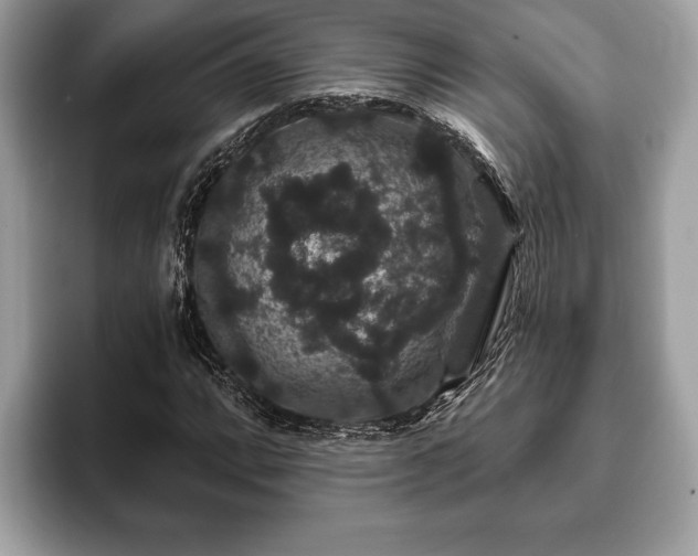 X0000093401064200710190919