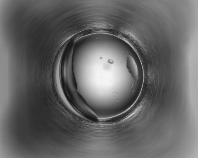 X0000093401065200710190919