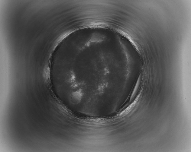 X0000093401066200710190919